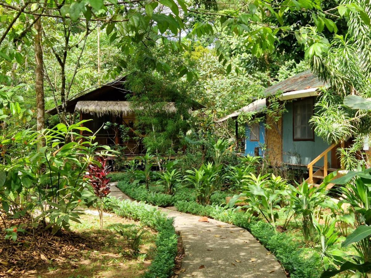Hidden Paradise Lodge Drake Bay Exterior photo