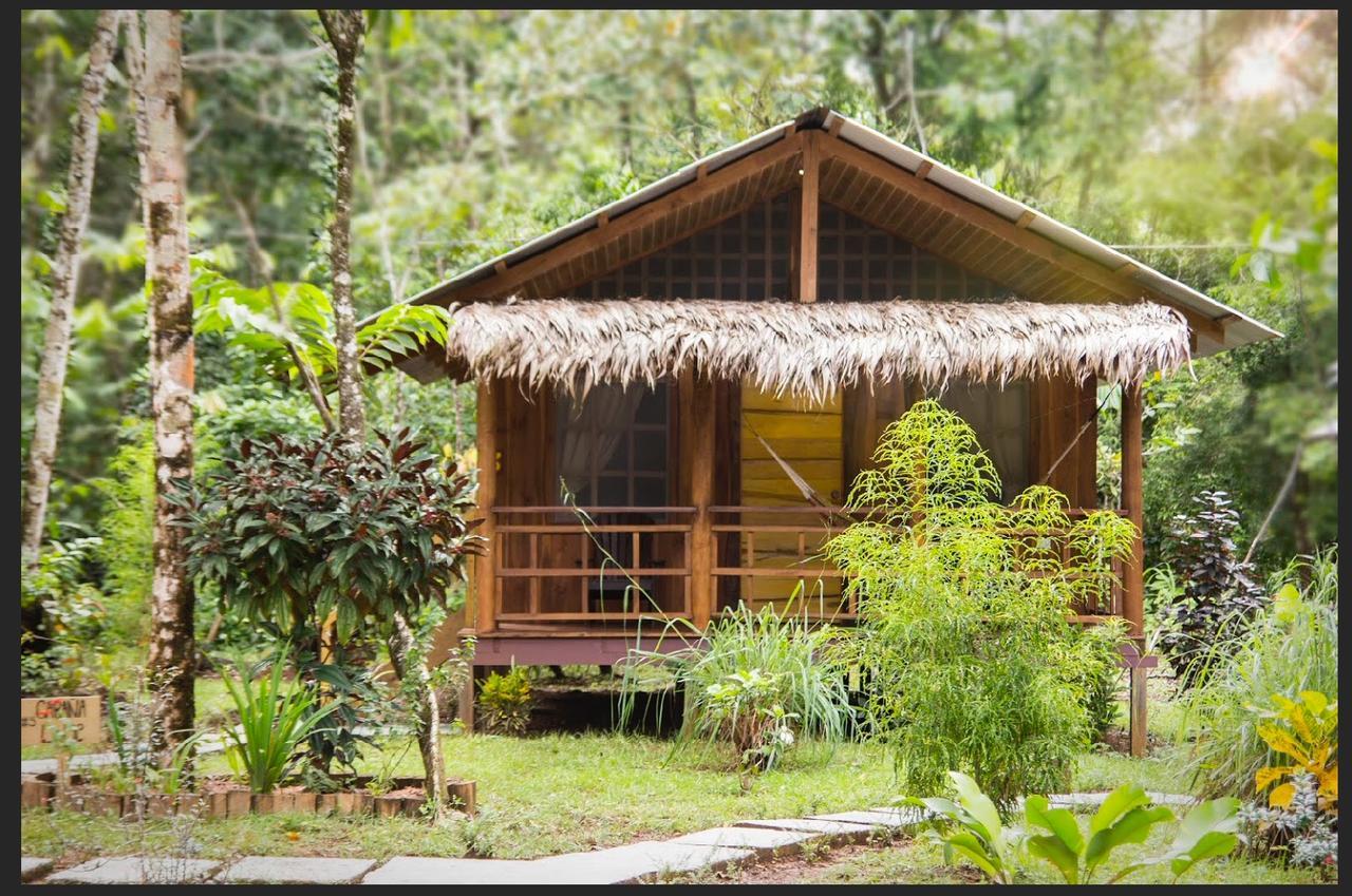 Hidden Paradise Lodge Drake Bay Exterior photo